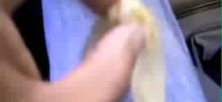 Condom