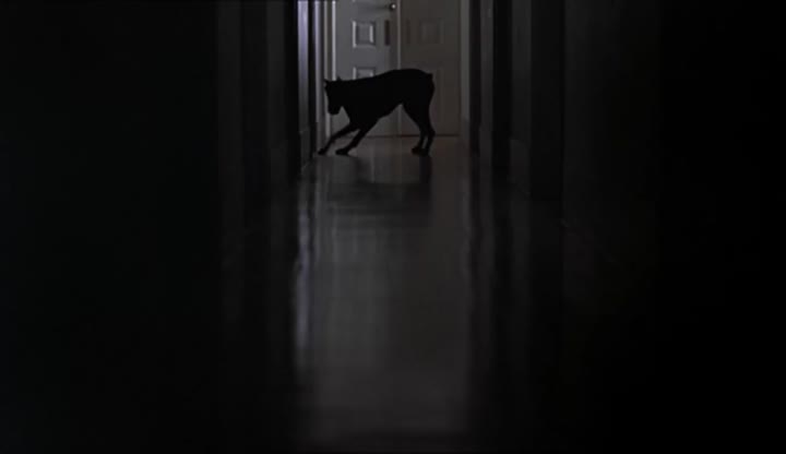 O Fantasma